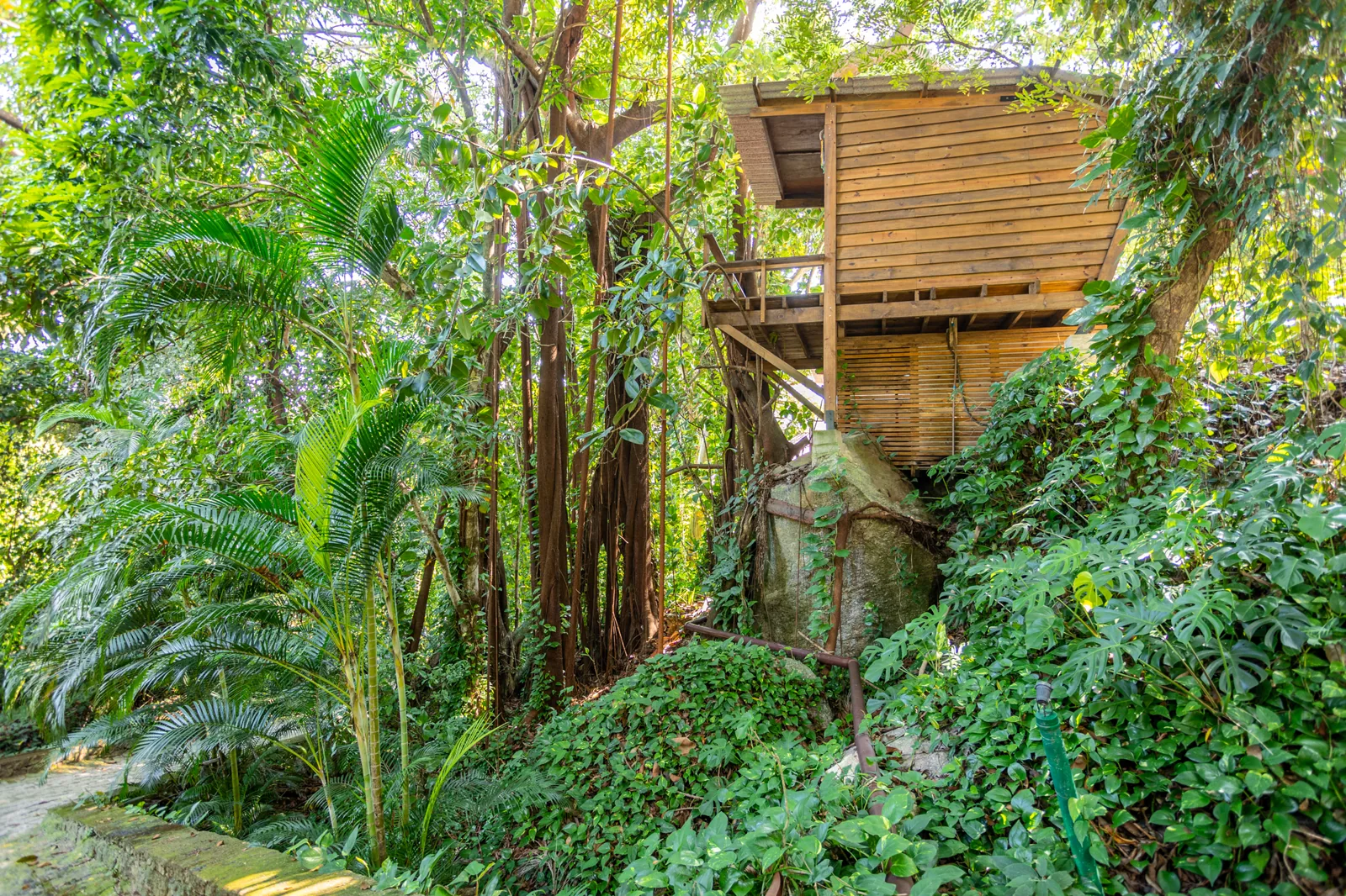 Casa na árvore em meio à Mata Atlântica no Hostel da Vila em Ilhabela
