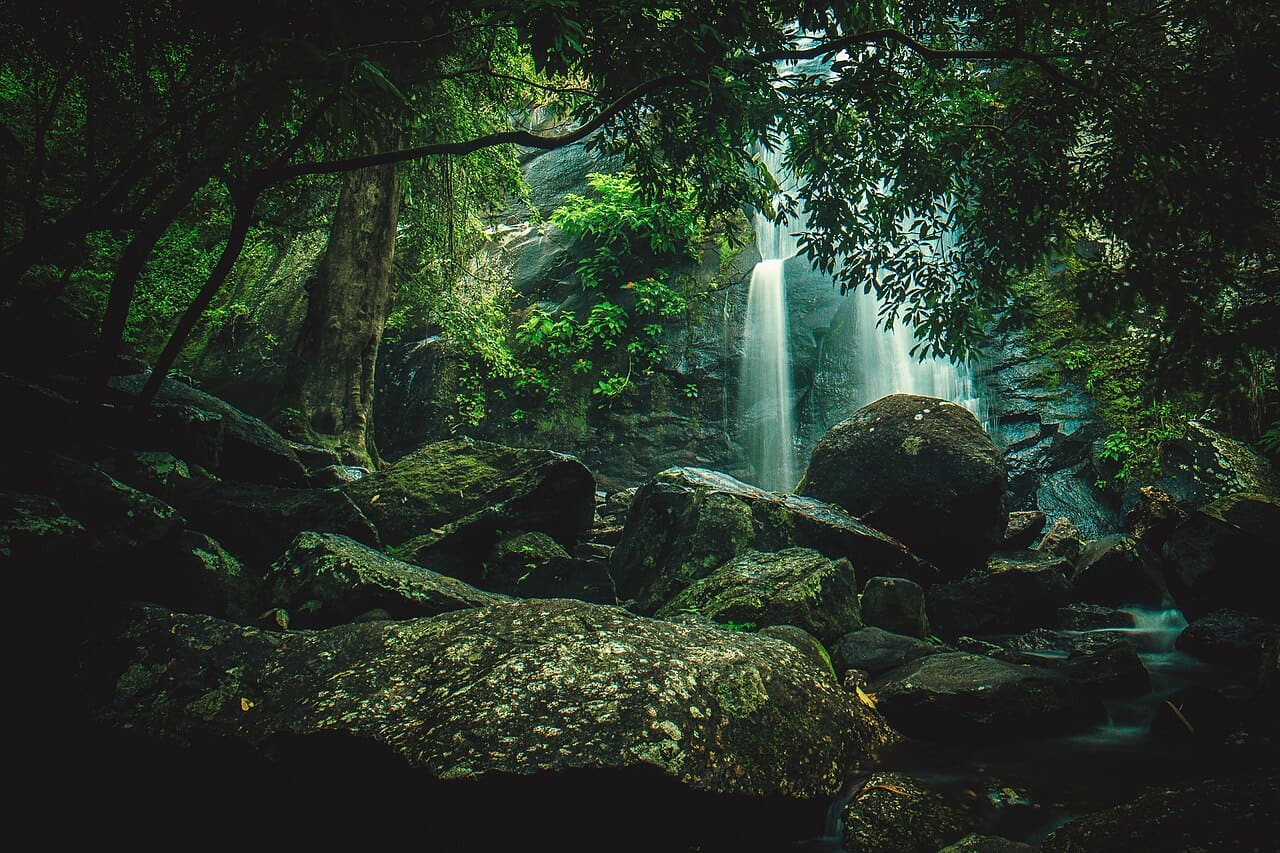 Queda d'água volumosa entre pedras e mata fechada no Parque Estadual de Ilhabela