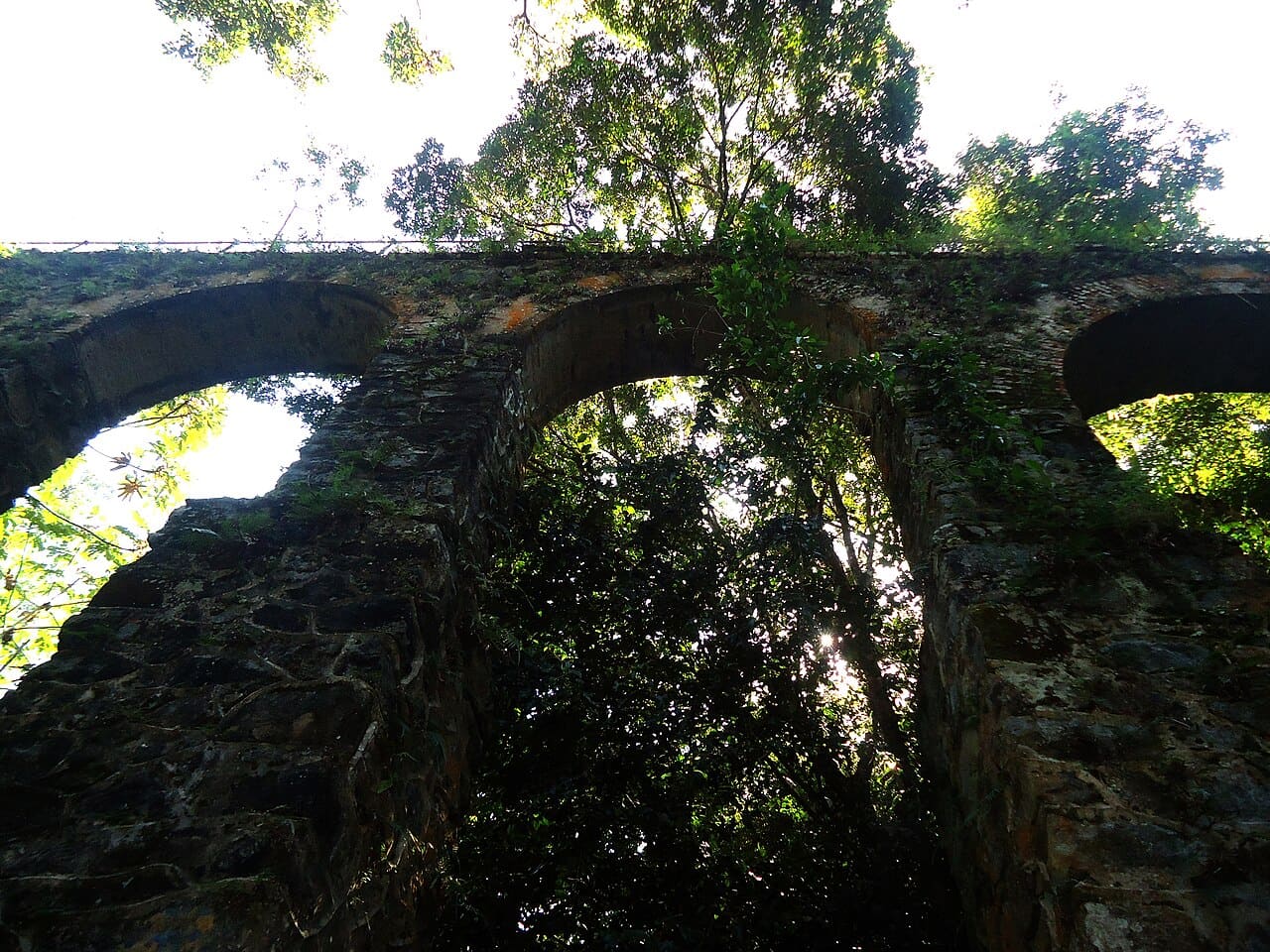 Aqueduto de pedra do Lazareto cercado de Mata Atlântica na Ilha Grande