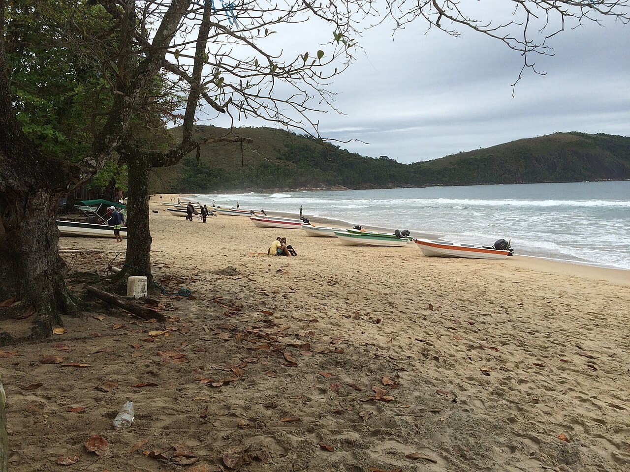 Praia do Sono vista de cima, com a vila caiçara entre o mar e a mata